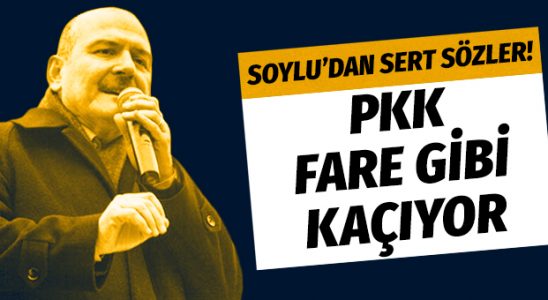 İçişleri Bakanı Süleyman Soylu: 'PKK fare gibi kaçıyor'