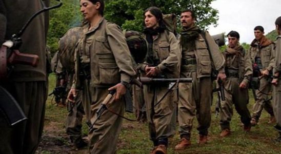 PKK o ülkeye dilendi! Türkiye'ye izin vermeyin