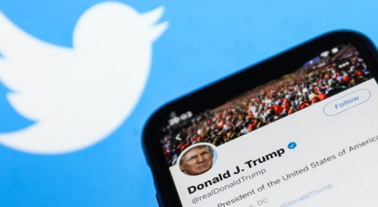 Donald Trump, Seçimleri Kaybederse Twitter Hesabı Kapatılabilir