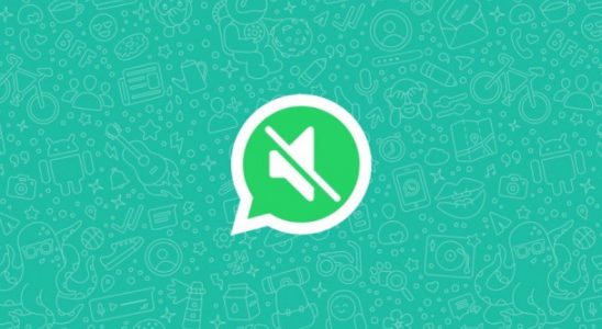 WhatsApp, Video Sesini Kapatma Özelliğini Tüm Android Kullanıcıları İçin Yayınladı