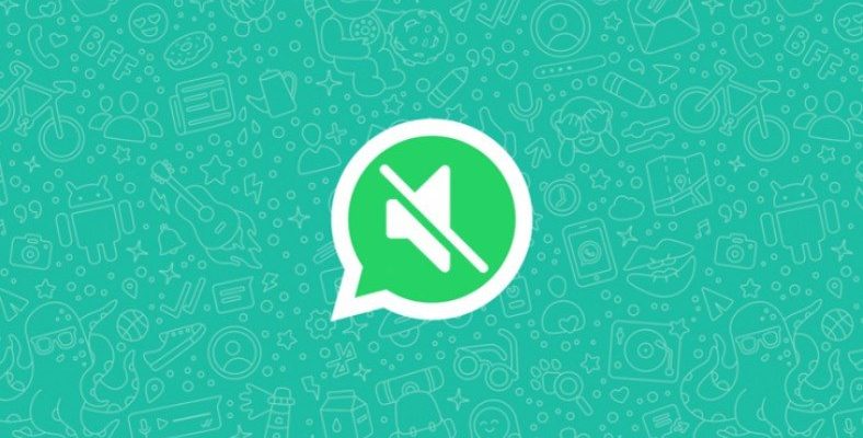 WhatsApp, Video Sesini Kapatma Özelliğini Tüm Android Kullanıcıları İçin Yayınladı