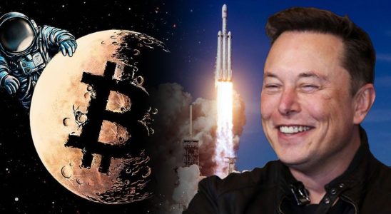 Elon Musk, Hangi Kripto Paralara Sahip Olduğunu Açıkladı (SpaceX Sürprizi)